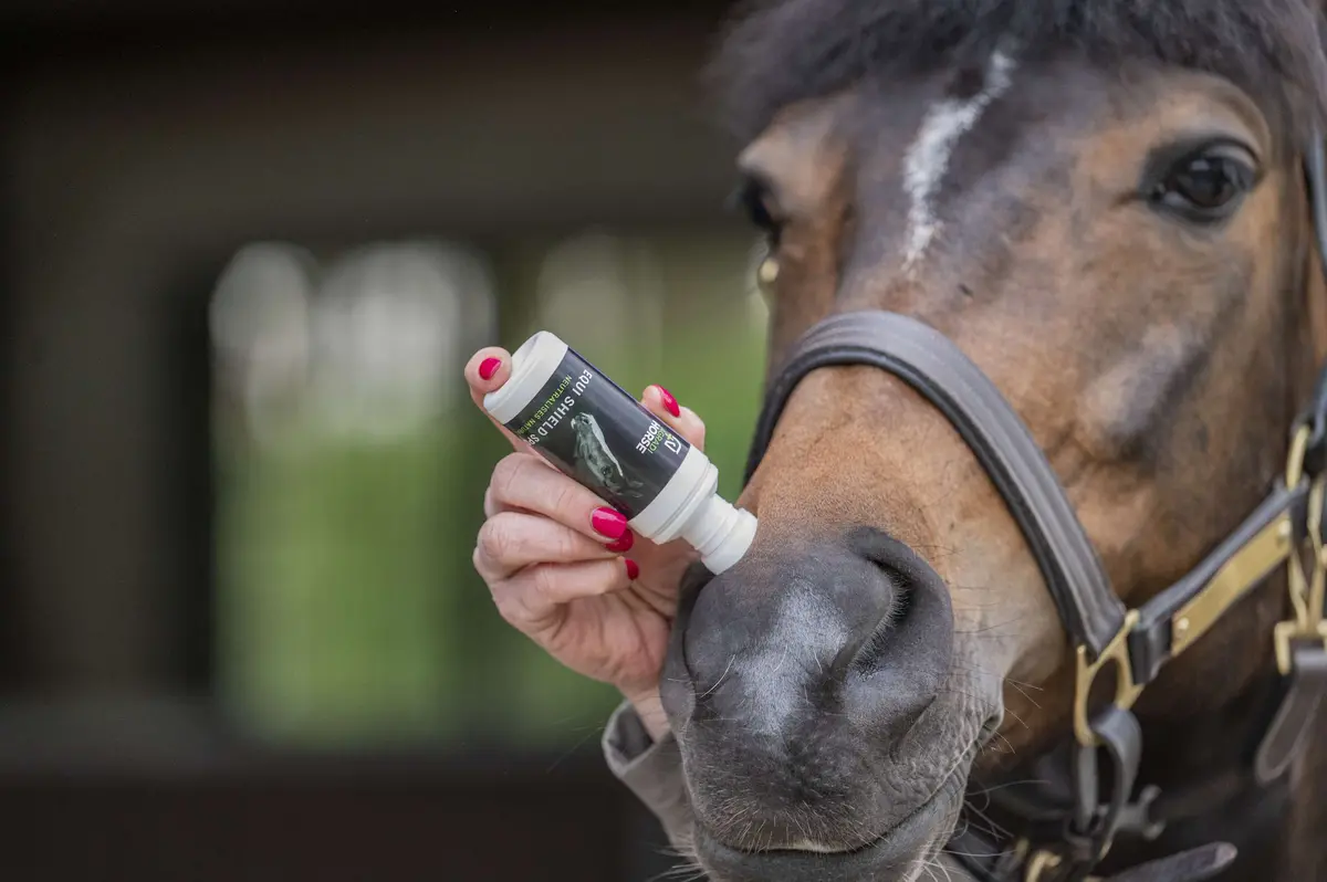Agradi Horse Geur + Spons 1