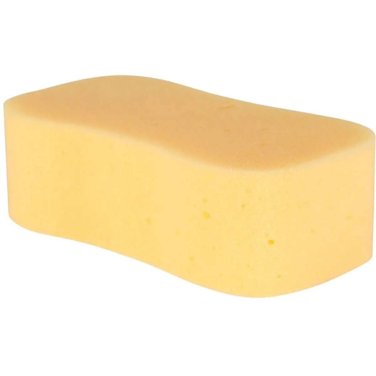 Carr & Day & Martin Horse Care Sponge 1