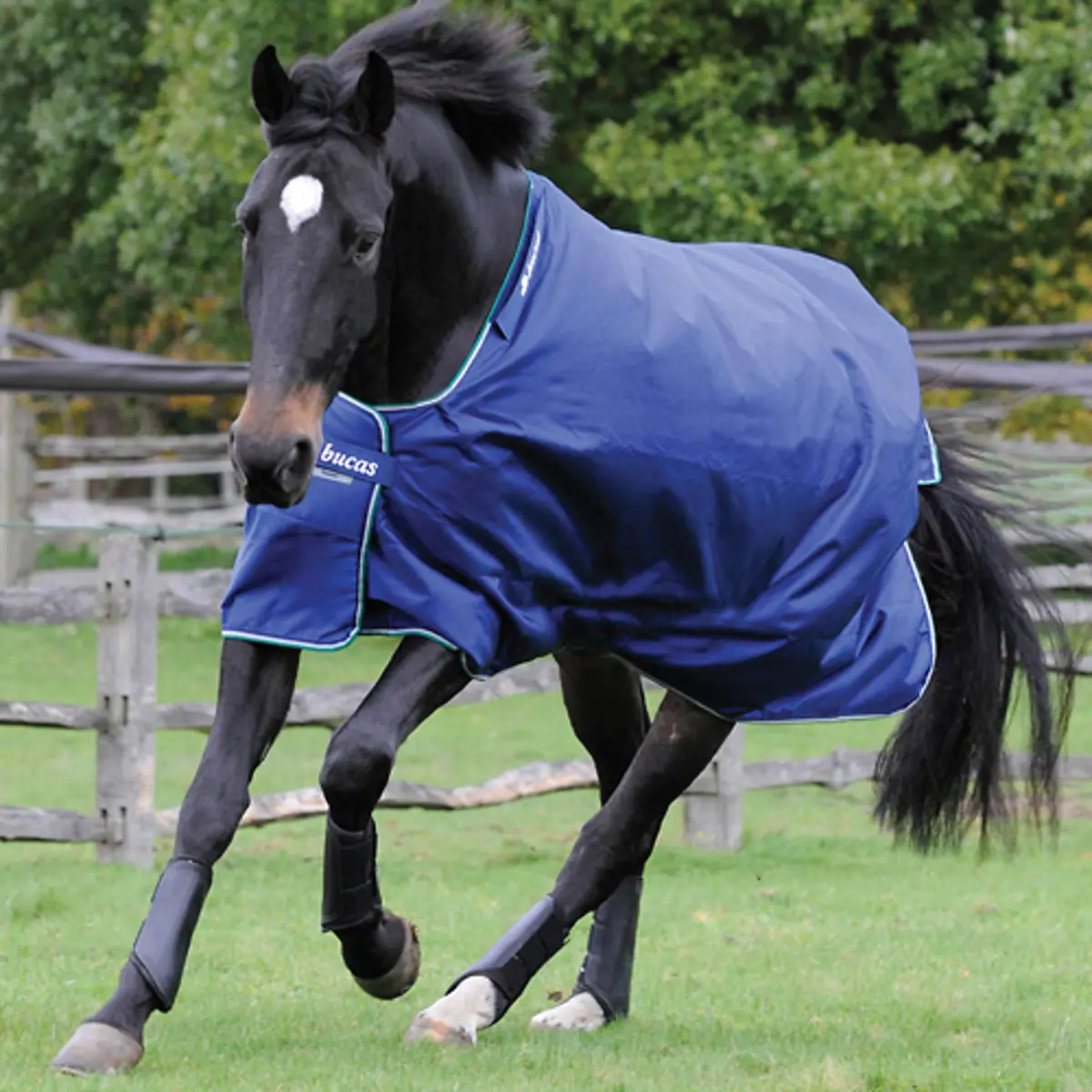 Bucas Smartex Rain 0G Blauw 1