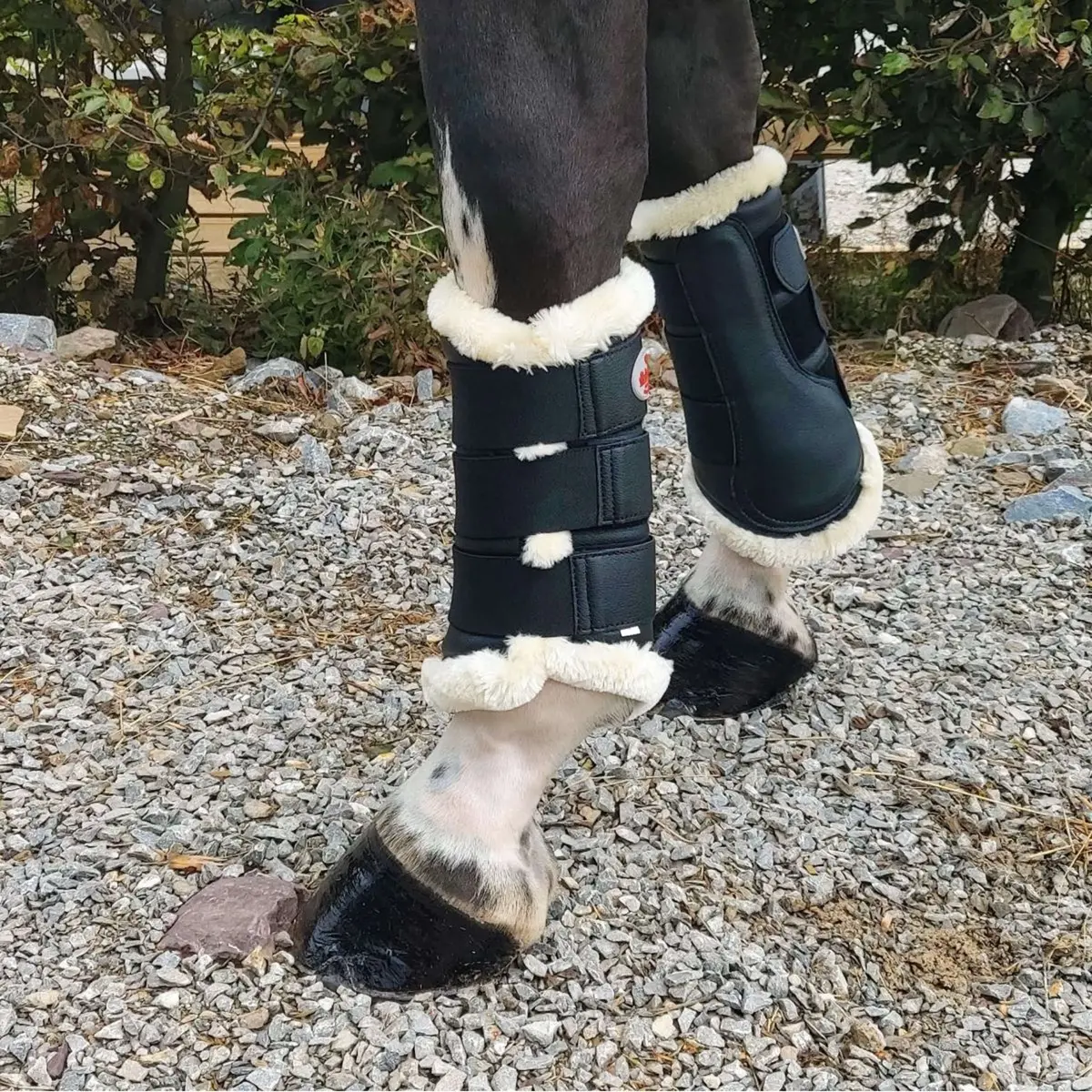 Bucas Brushing Boots Zwart 1