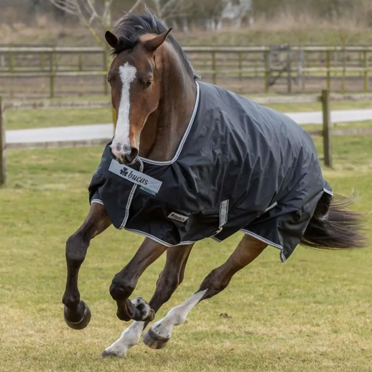 Bucas Anniversary Turnout 150G Stay-Dry Black/Silver 1