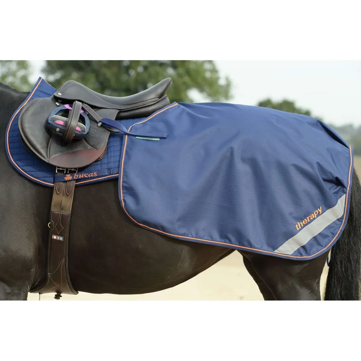 Bucas Therapy Quarter Sheet Navy/Orange 1