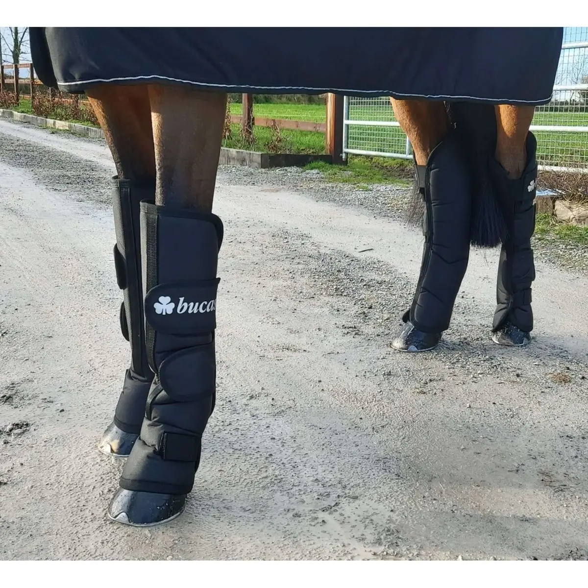 Bucas Transportbeschermers Boots 2020 Navy 1