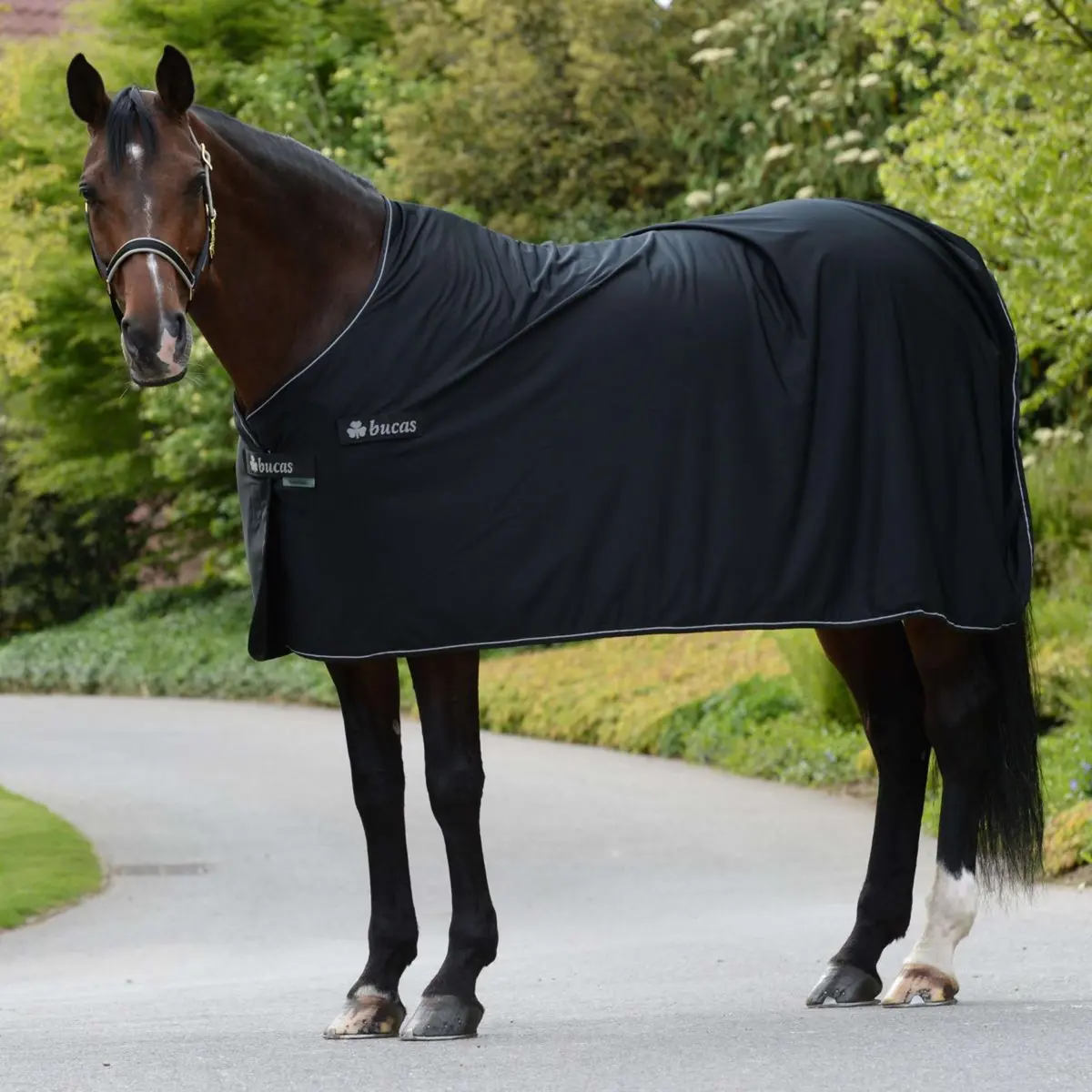 Bucas Panel Prize Cooler Black/Silver 1