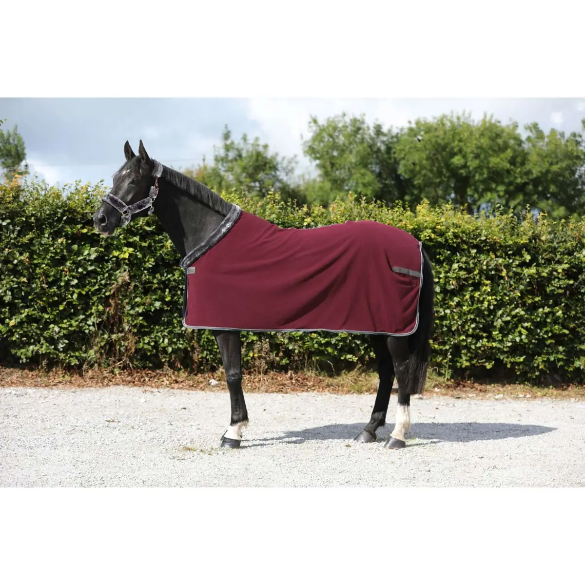 Bucas Fleecedeken Show-Line 400 Burgundy 1