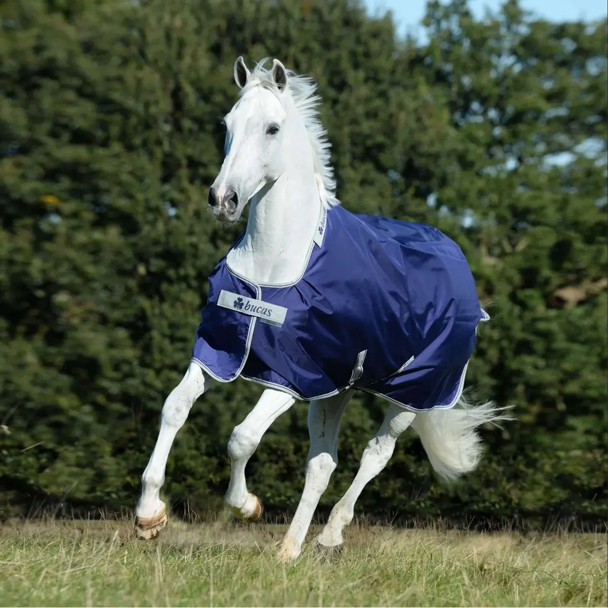 Bucas Atlantic Turnout Big Neck 50G Navy 1