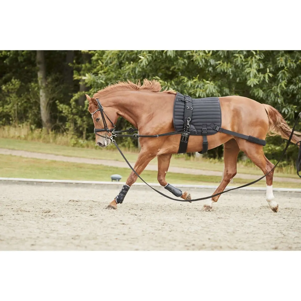 Catago Zadeldekje Hybrid Training Dressuur Zwart 1
