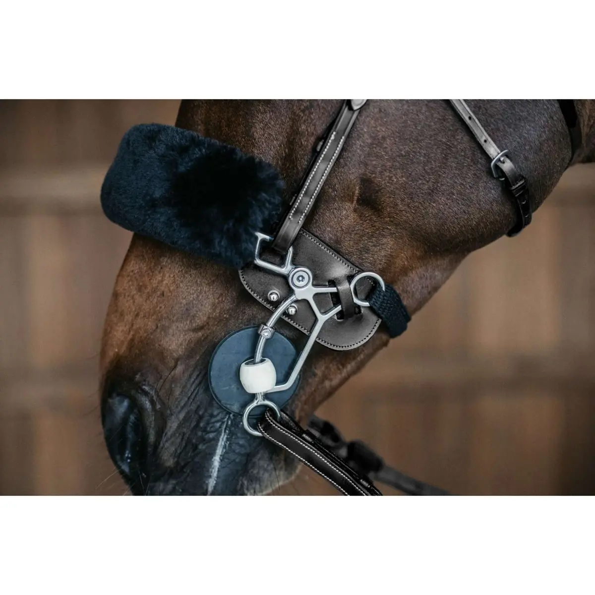 Dyon Hackamore Bescherming Zwart 2