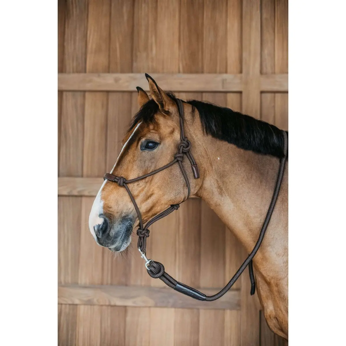 Dyon Trainingshalster Bruin 1