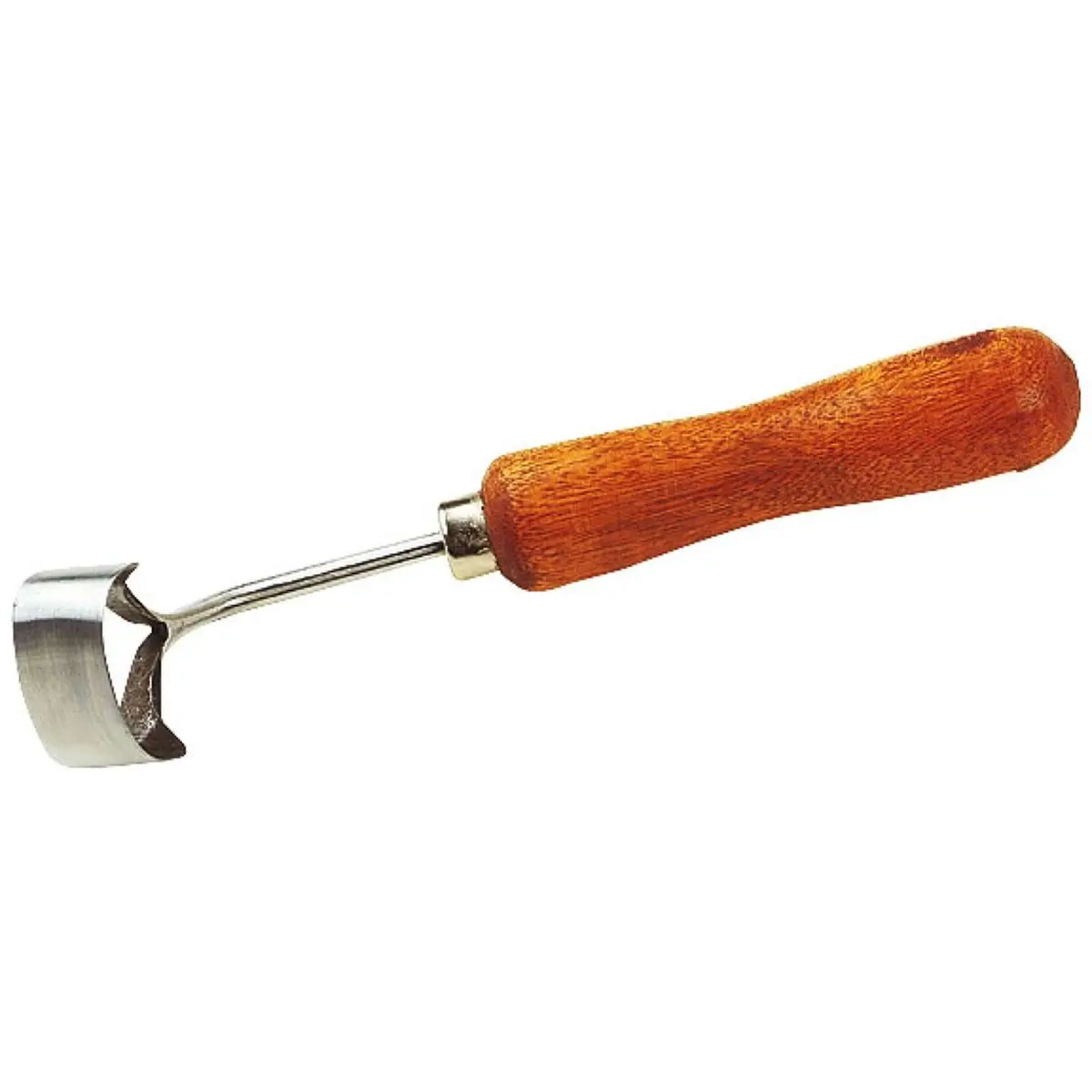 Hoefmes Ringvormig 1