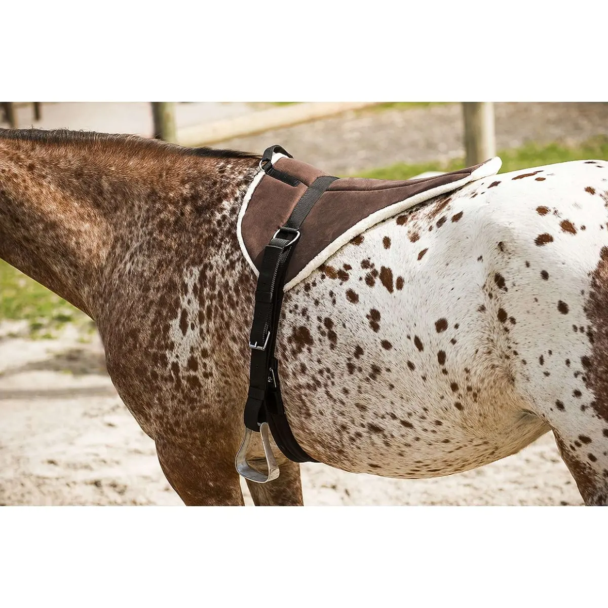 Norton Bareback Pad Soft Bruin/Beige 1