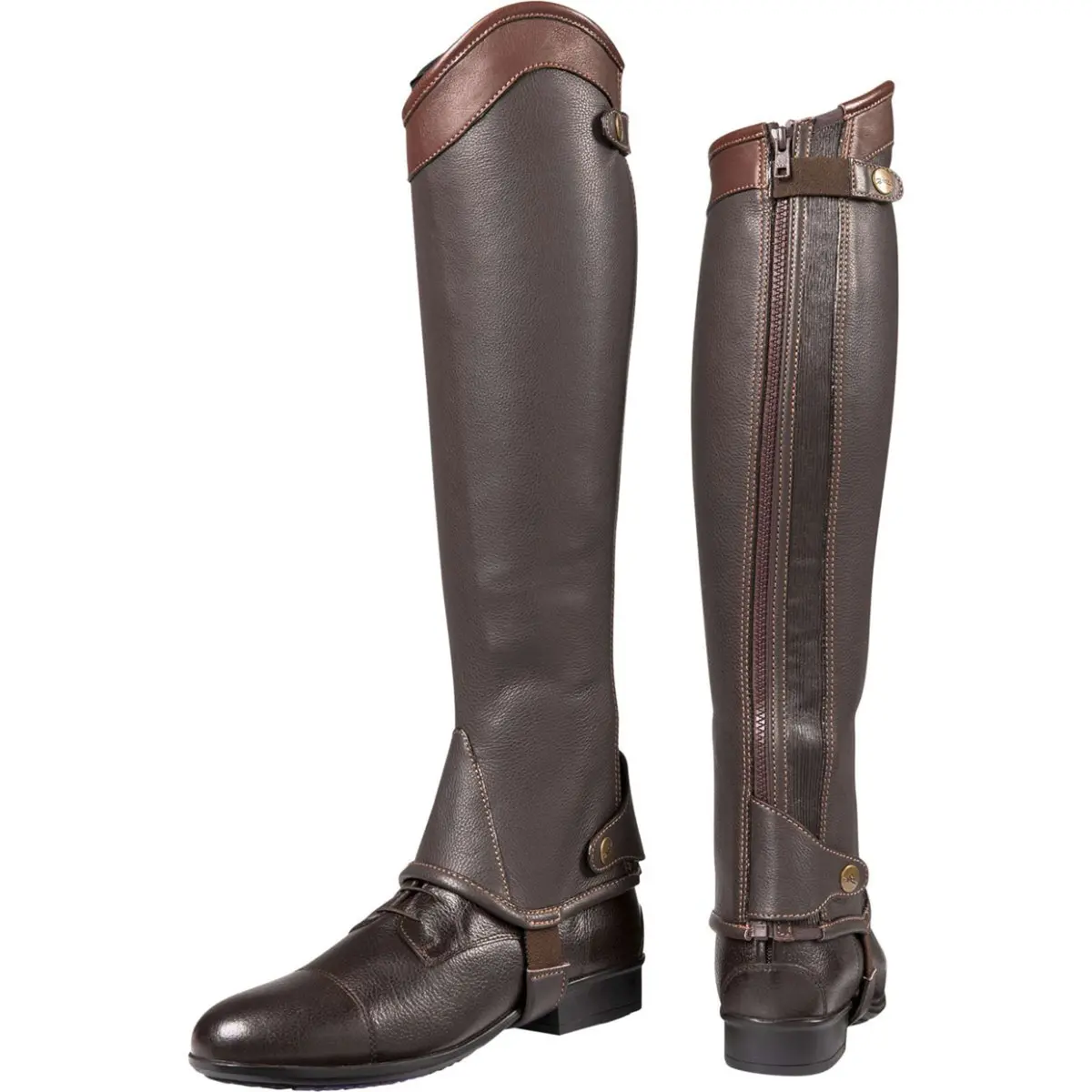Equithème Chaps Elite Havana 1