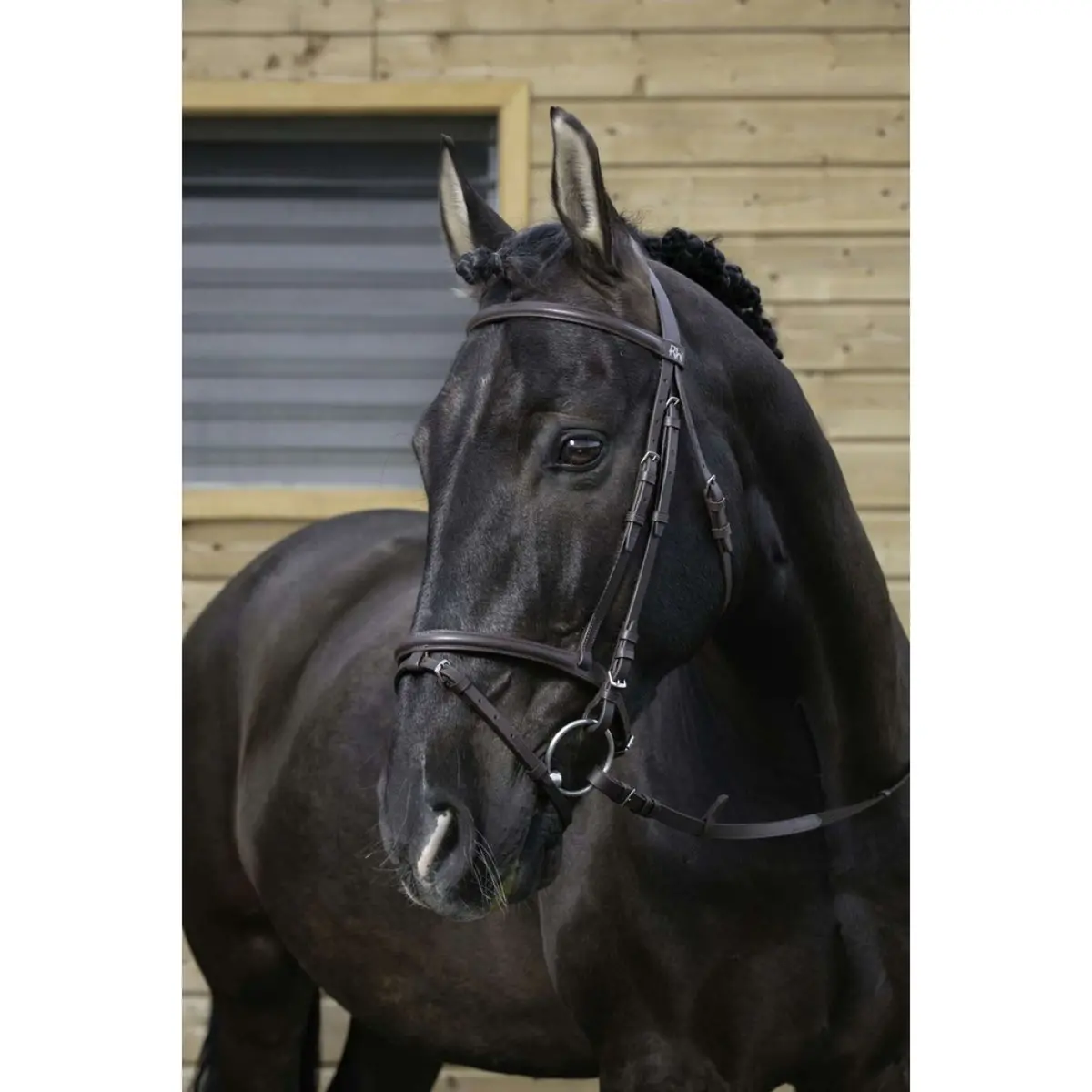 Riding World Hoofdstel Met Gecombineerde Neusriem Havana 1