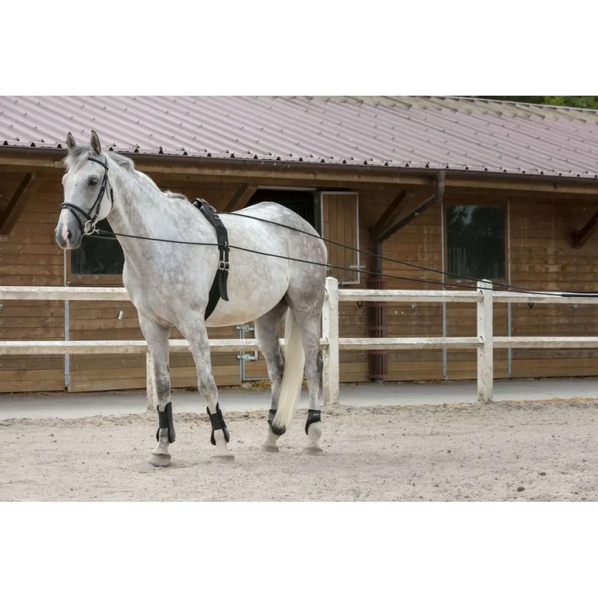 Riding World Teugels Leer/Touw Zwart 1