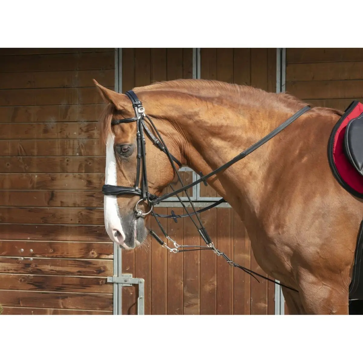 Norton Gogue Pro Met Pulleys Zwart 1