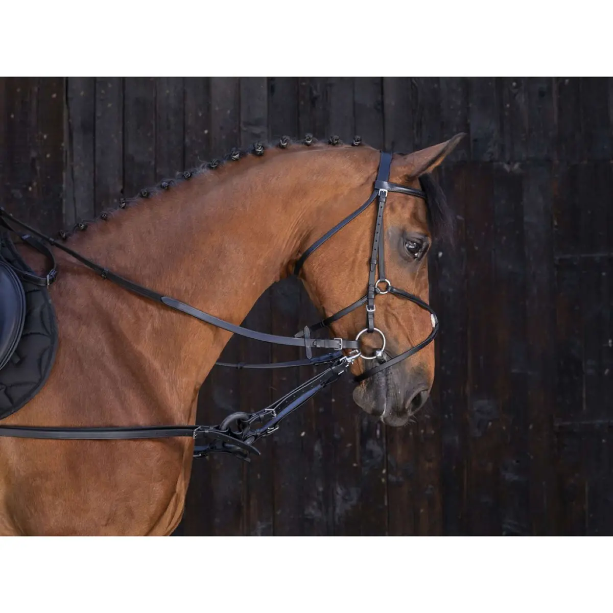 Riding World Bijzetteugels Ring Zwart 1