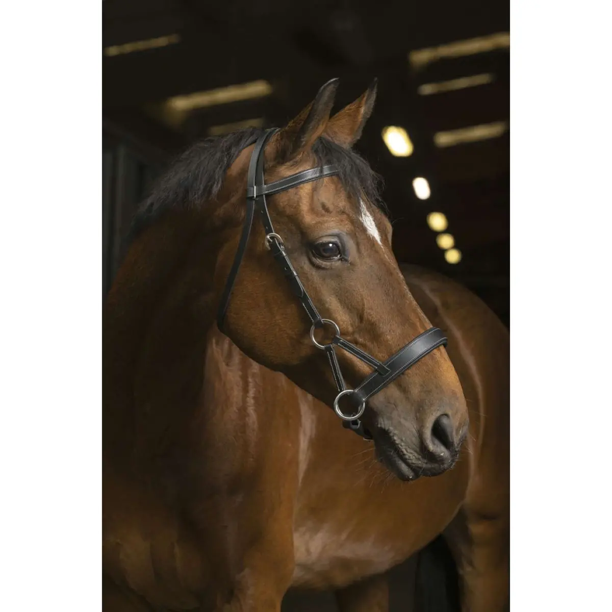 Norton Side-Pull Pro Confort Zwart 1