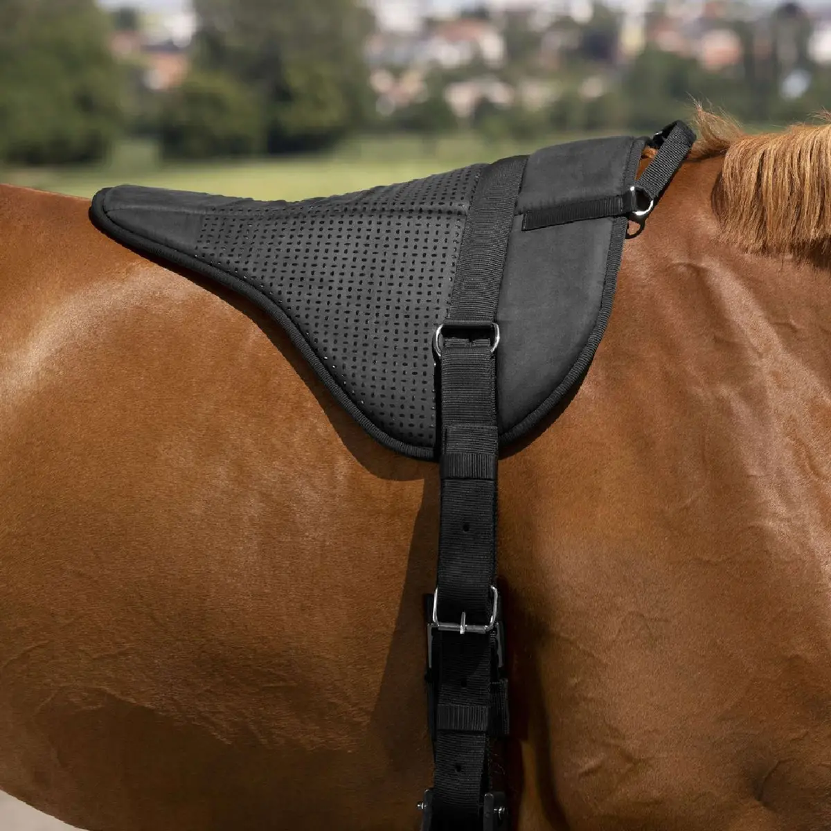 Norton Bareback Pad Silicone Zwart 1