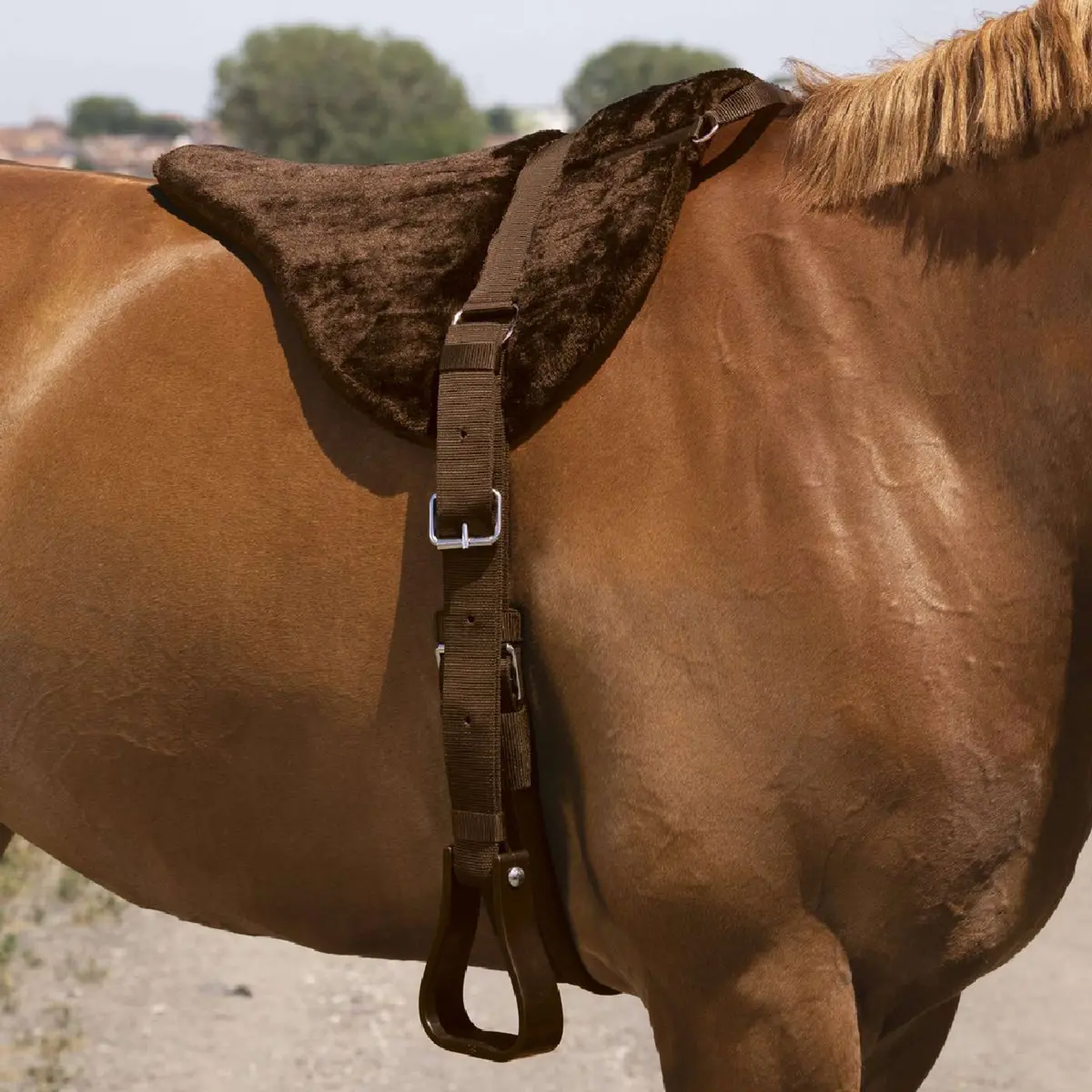 Norton Bareback Pad Confort Bruin 1