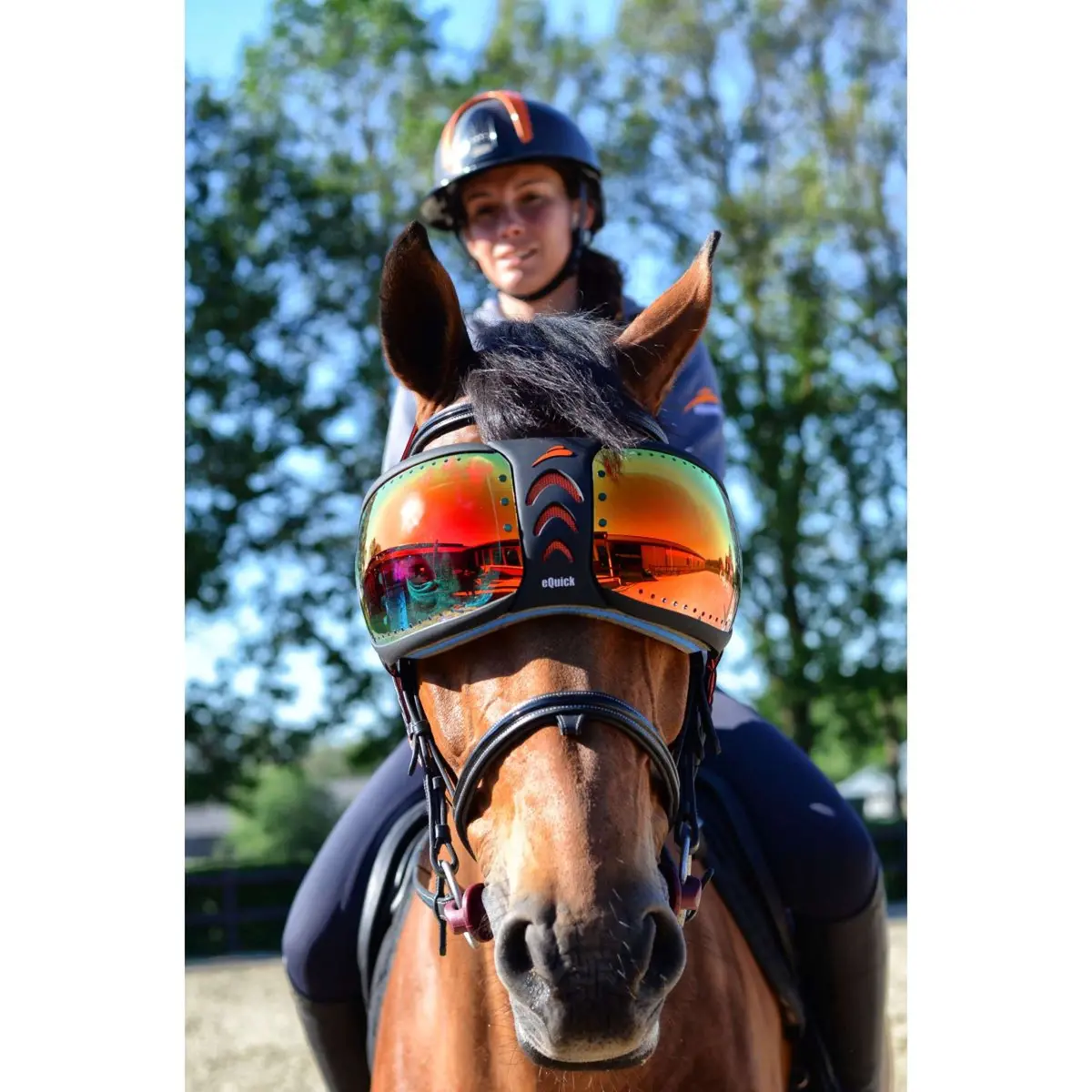 Equick Brillenglazen For Evysor Regenboog 1