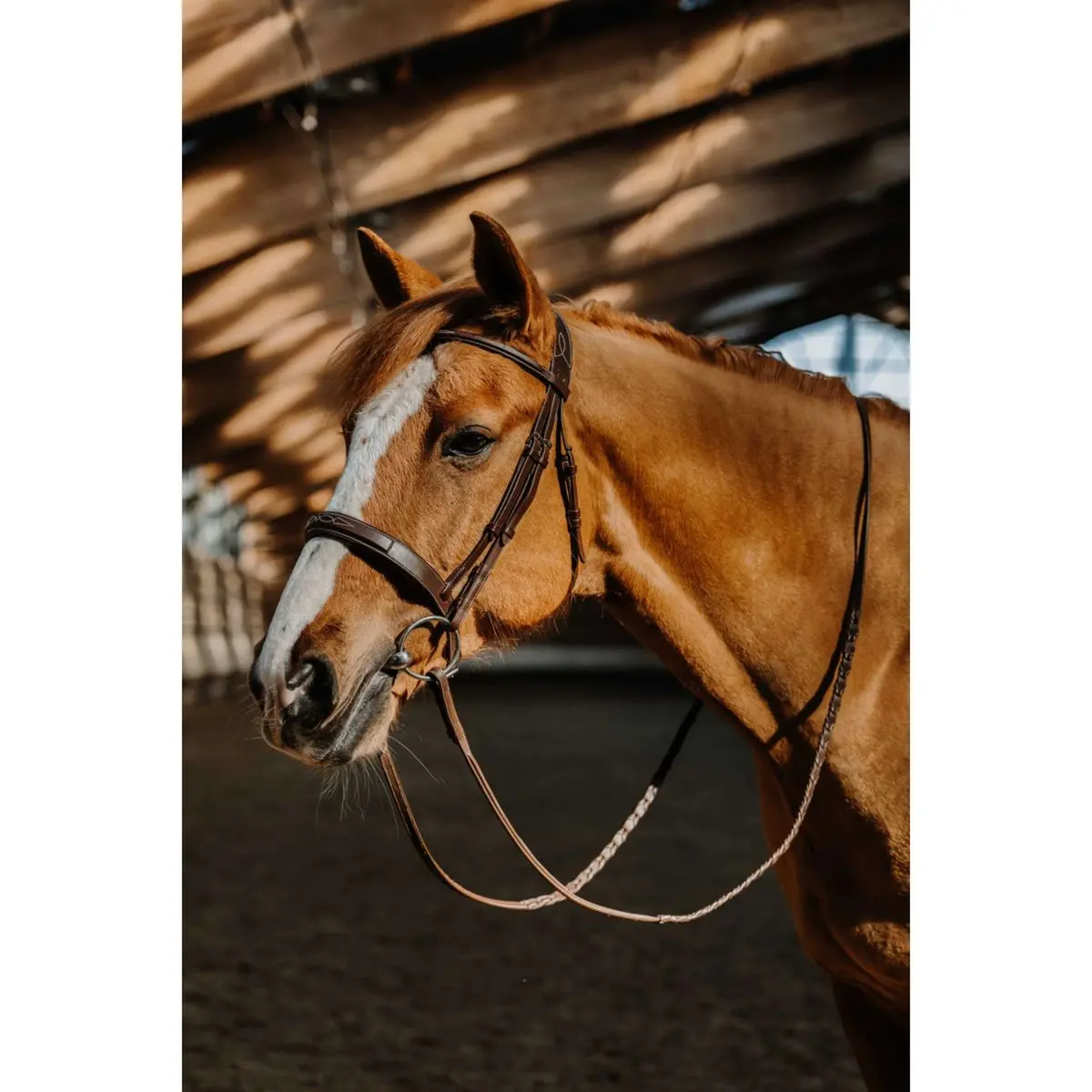 Norton Hoofdstel Hunter Fancy Havanna 1