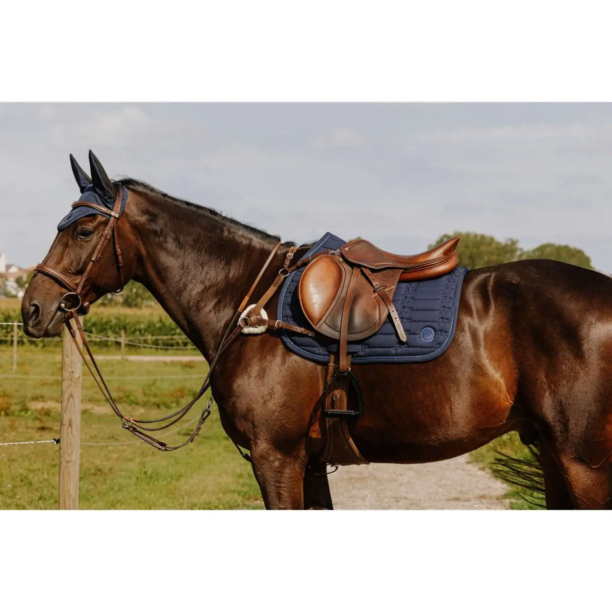 Norton Borsttuig 5 Points Havanna 1