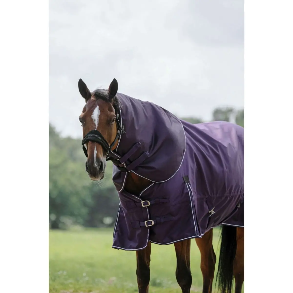 Equithème Halsstuk Tyrex 600D 200G 1