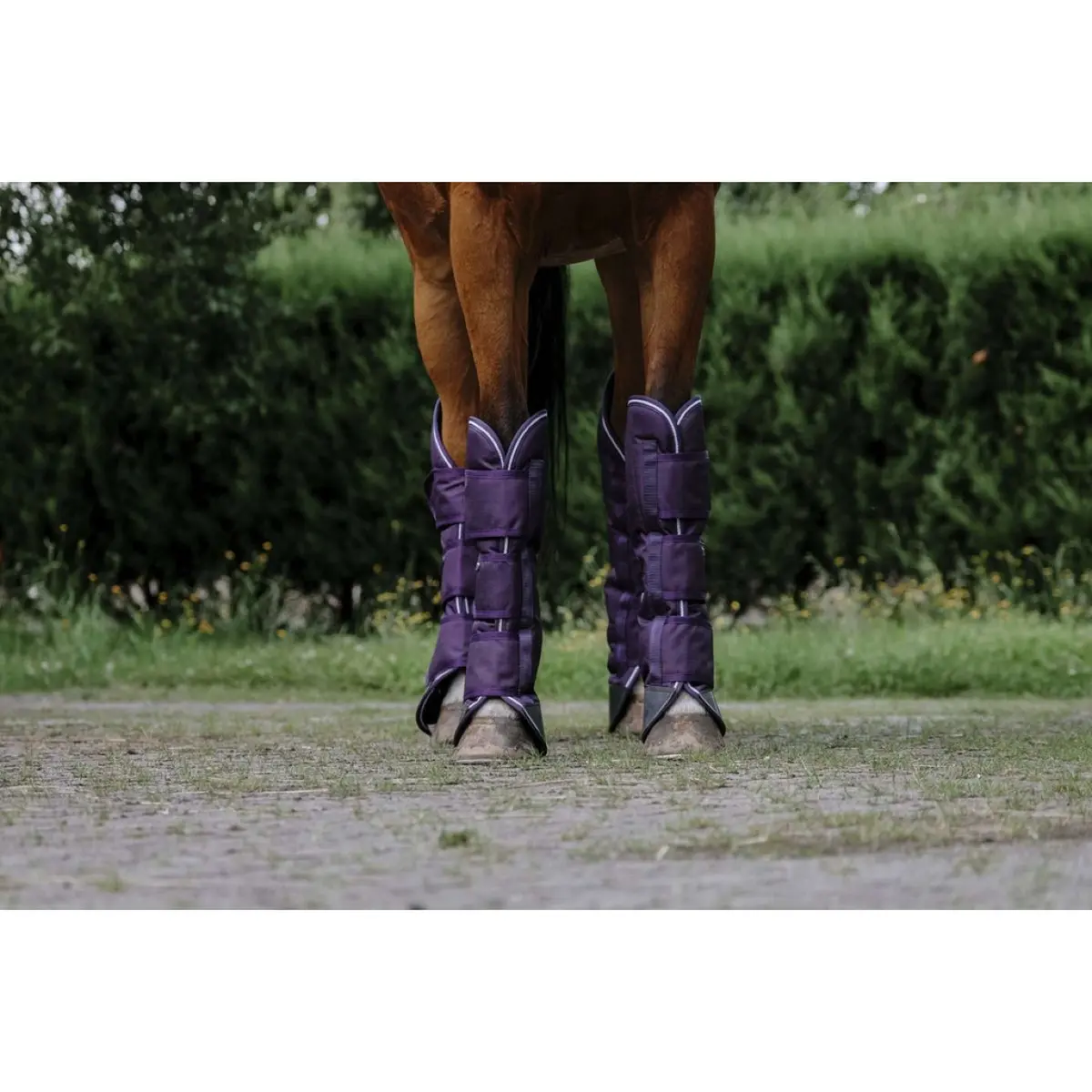 Equithème Transportbeschermers Tyrex 600D 1