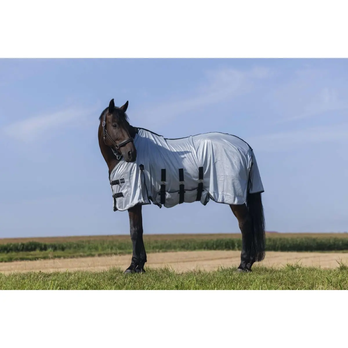 Riding World Vliegendeken Belly Mesh Grijs 1