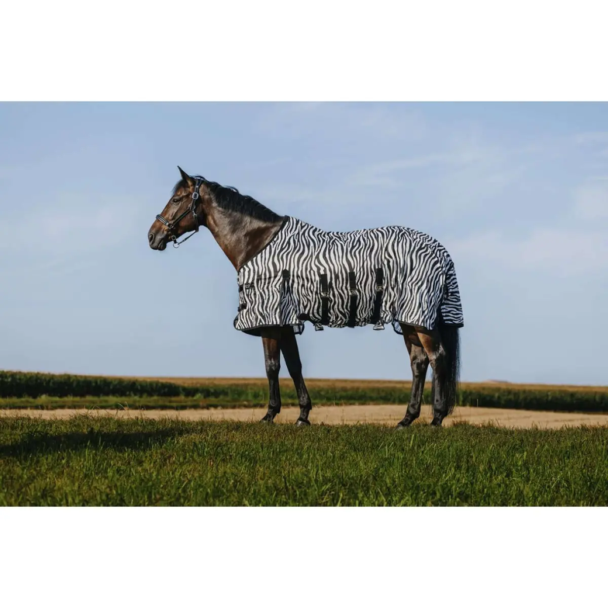 Riding World Vliegendeken Belly Mesh Zebra 1