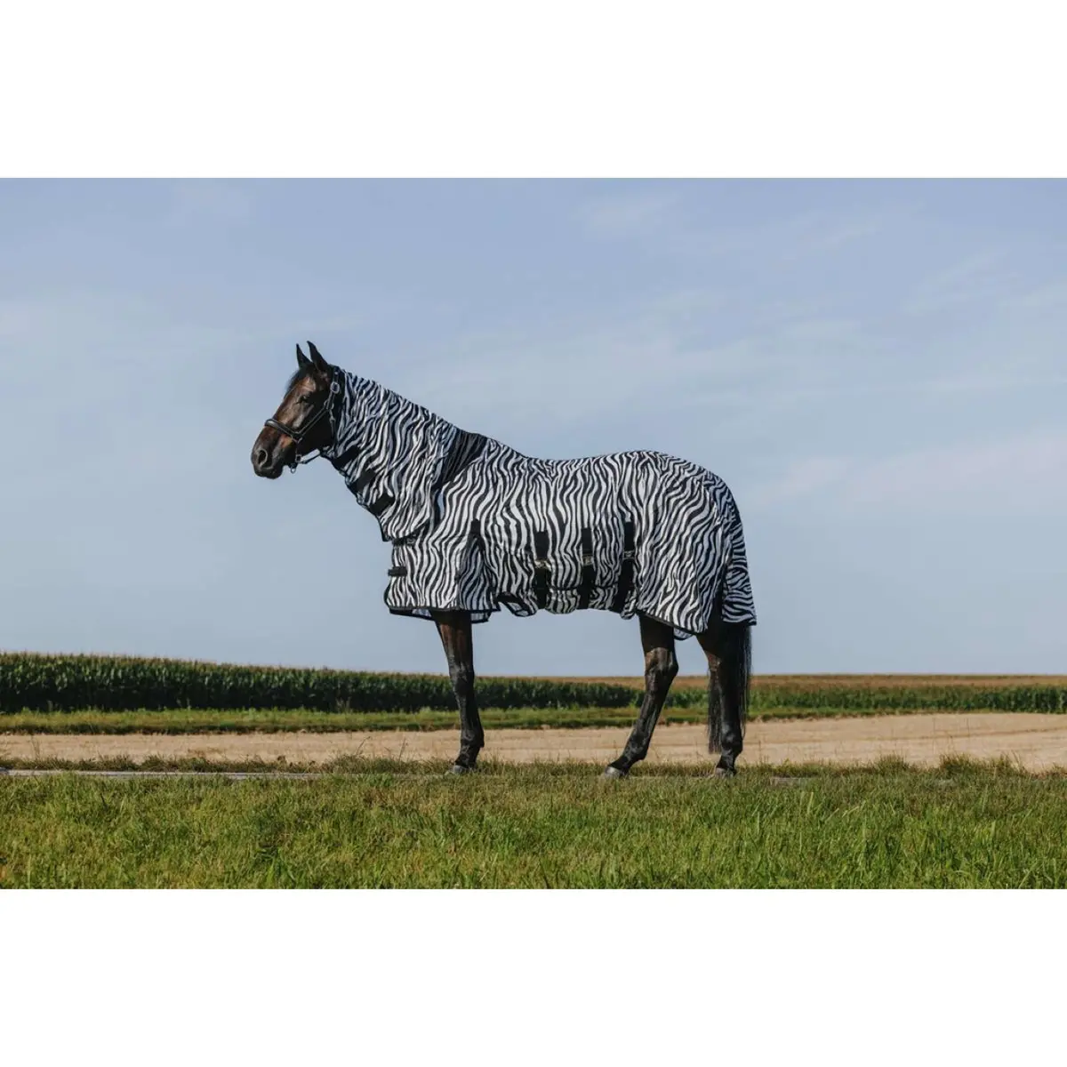 Riding World Vliegendeken Belly Mesh Combo Zebra 1
