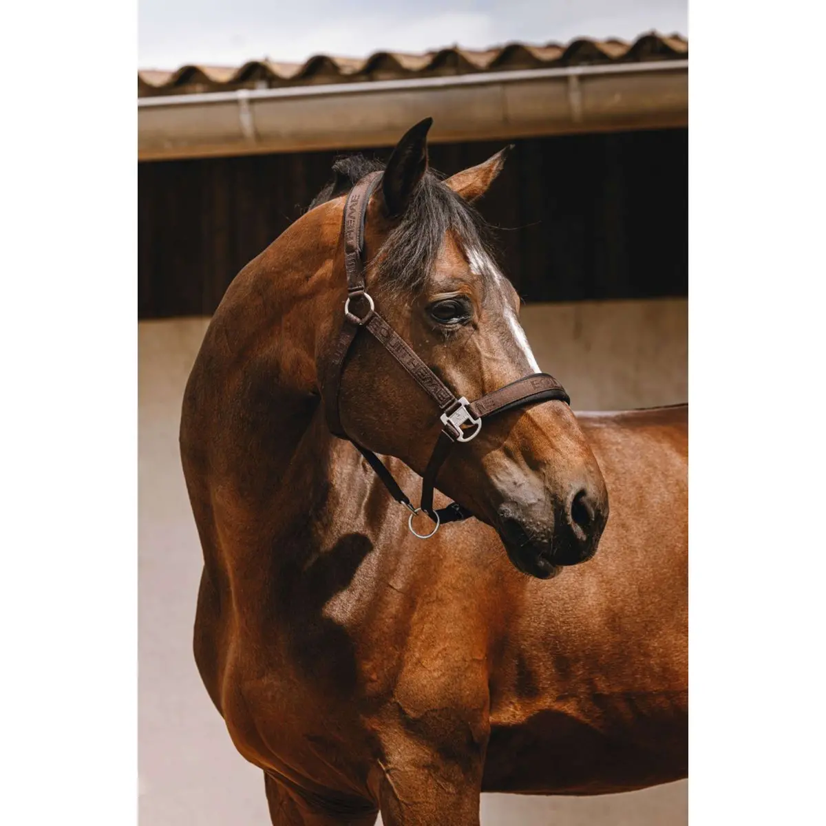 Equithème Halster Jacquard Bruin 1