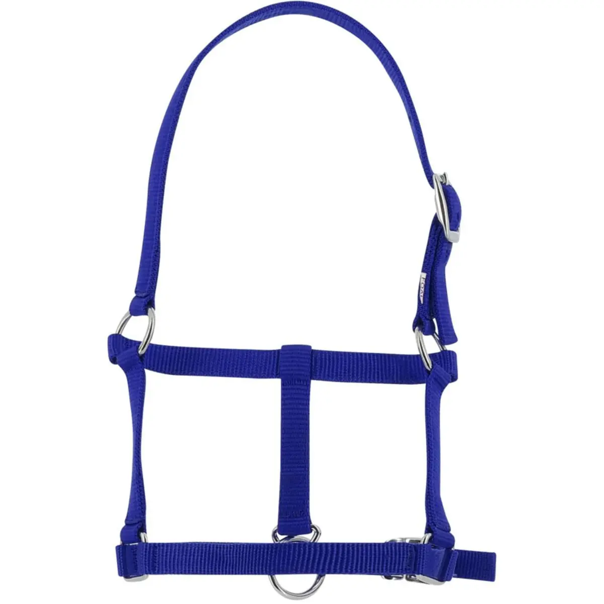 Riding World Halster Koningsblauw 1