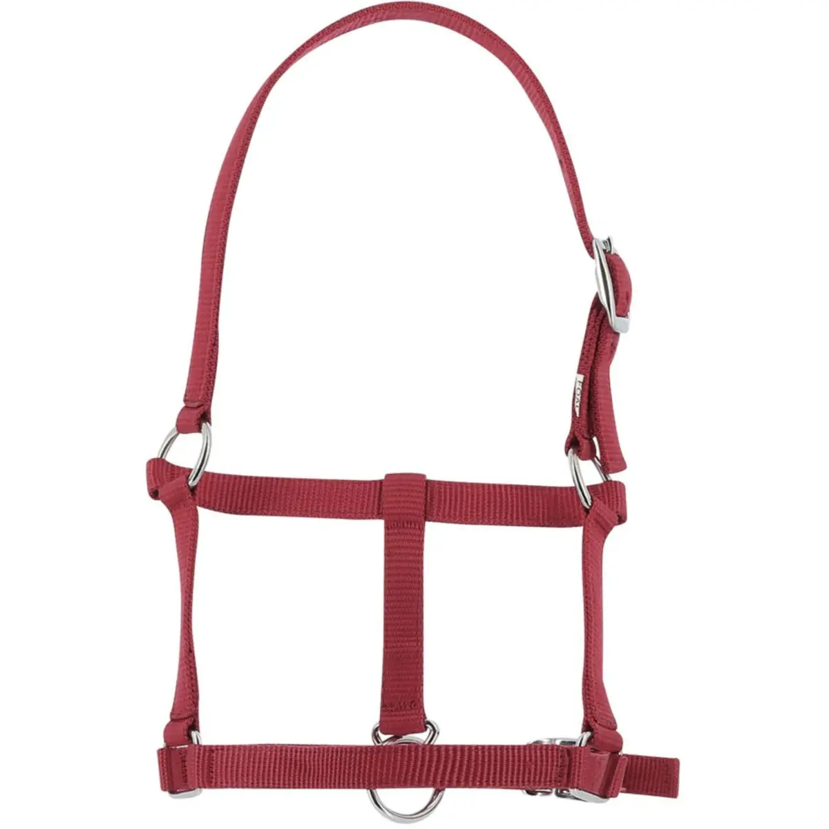 Riding World Halster Burgundy 1