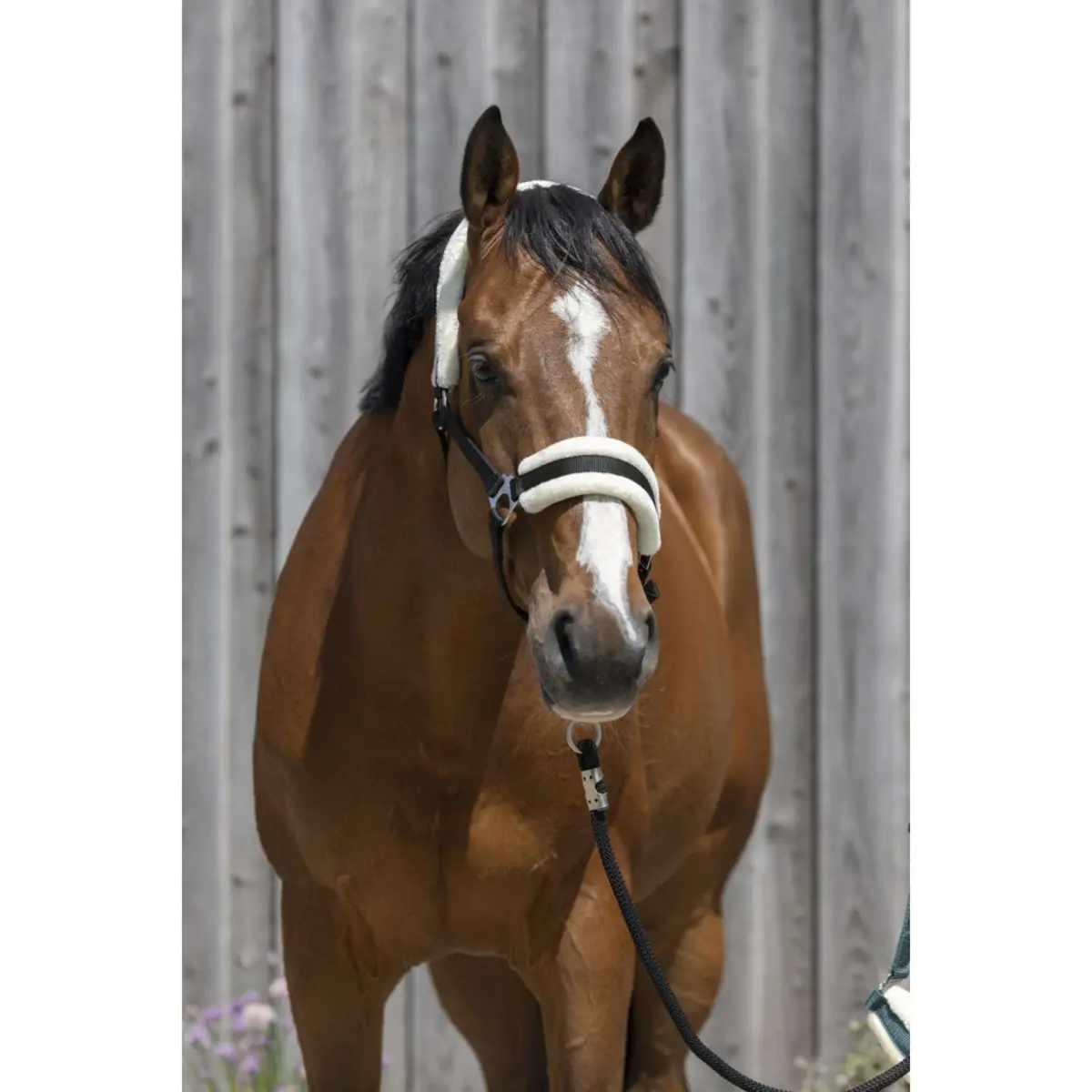 Riding World Halster Synthetic Fur Zwart 1