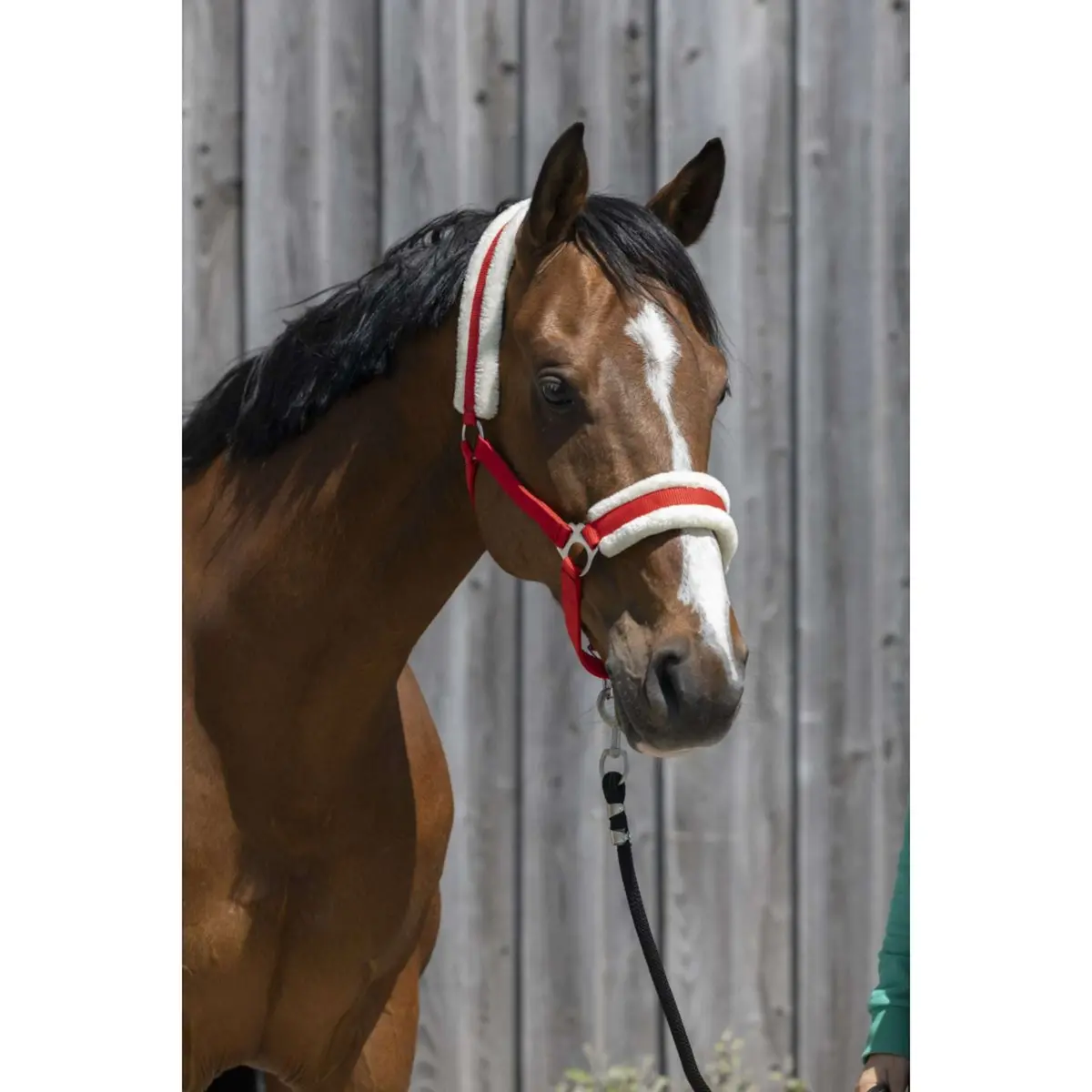 Riding World Halster Synthetic Fur Rood 1