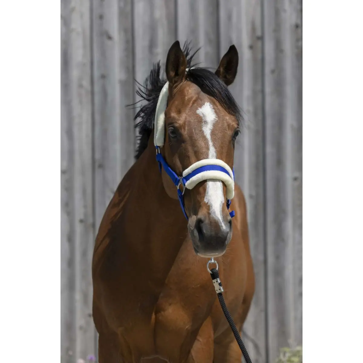 Riding World Halster Synthetic Fur Blauw 1