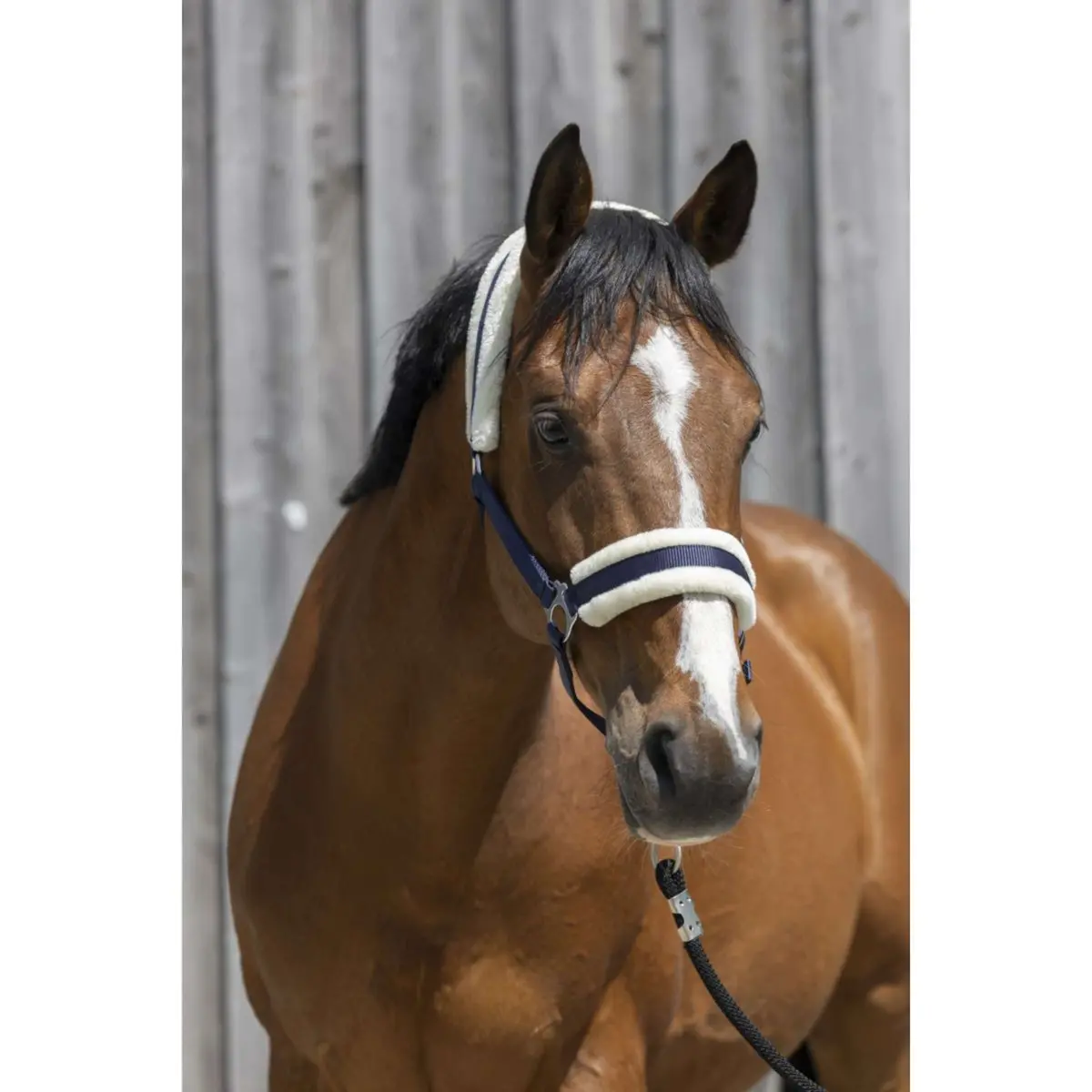 Riding World Halster Synthetic Fur Navy 1