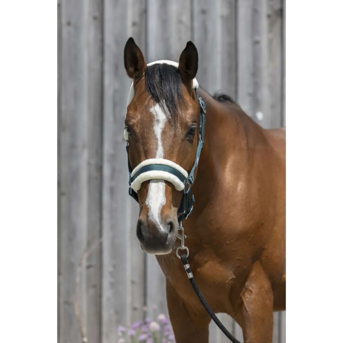 Riding World Halster Synthetic Fur Donkergroen 1