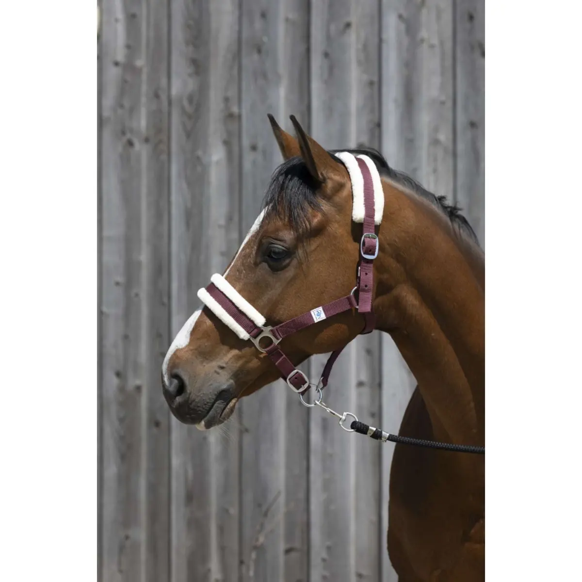 Riding World Halster Synthetic Fur Burgundy 1