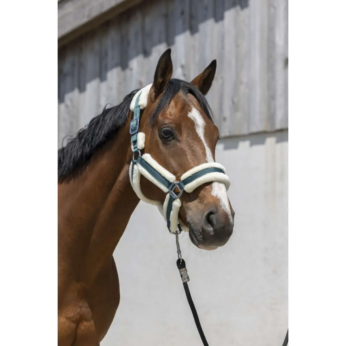 Norton Halster Cosy Donkergroen 1