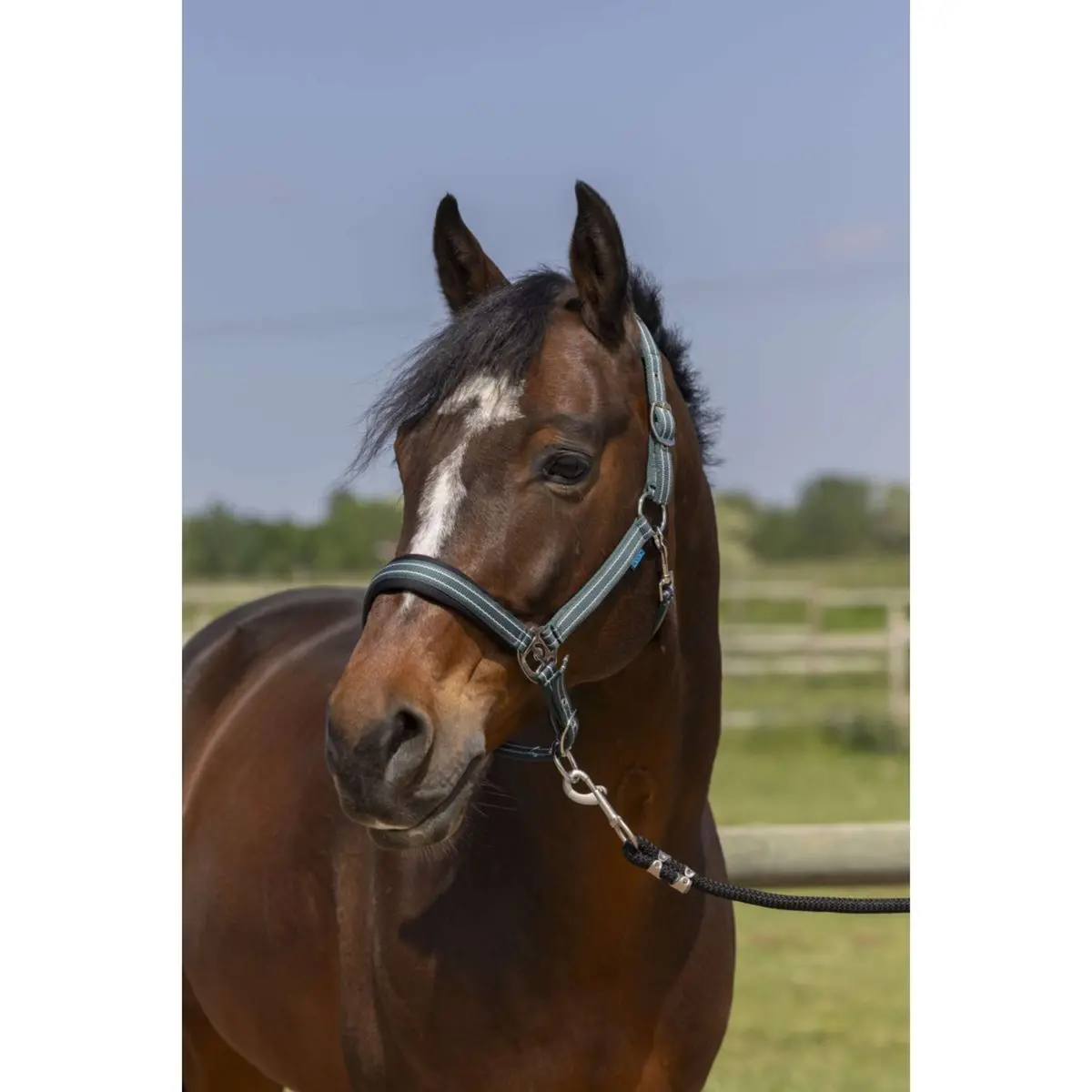 Norton Halster 4Lines Donkergroen 1