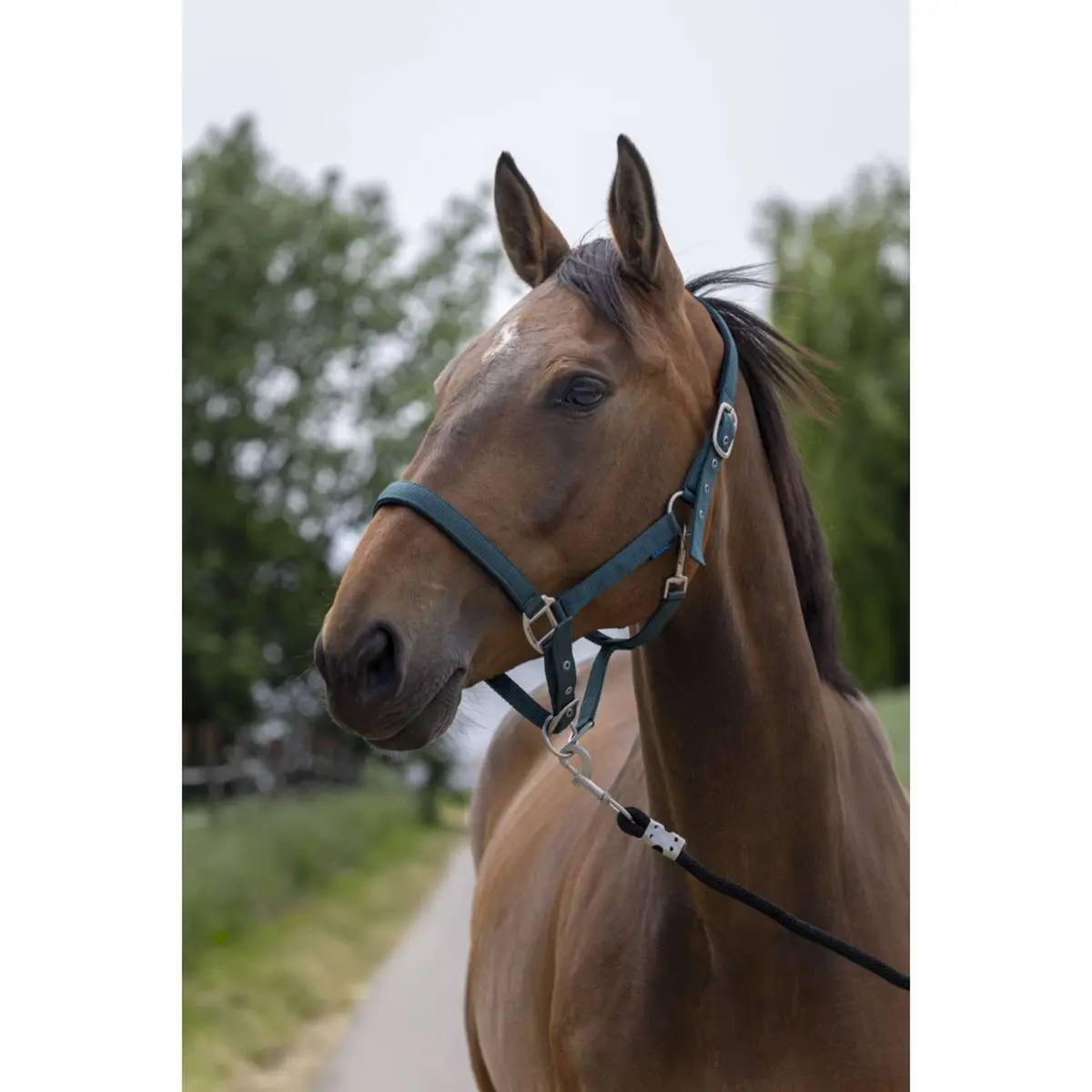 Norton Halster Satine Donkergroen 1