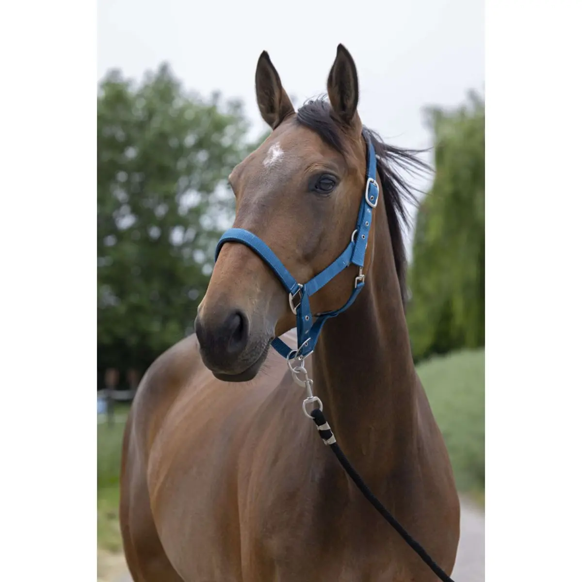 Norton Halster Satine Eend Blauw 1