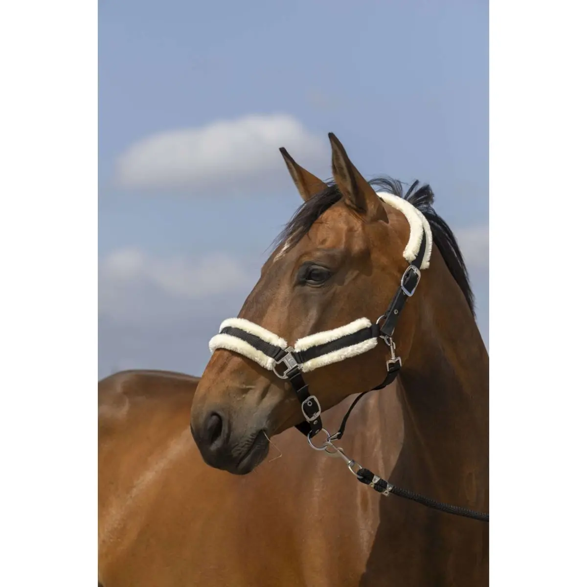 Equithème Halster Mouton Nylon Zwart/Wit 1