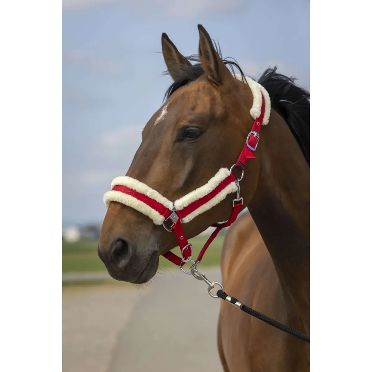 Equithème Halster Mouton Nylon Rood/Wit 1