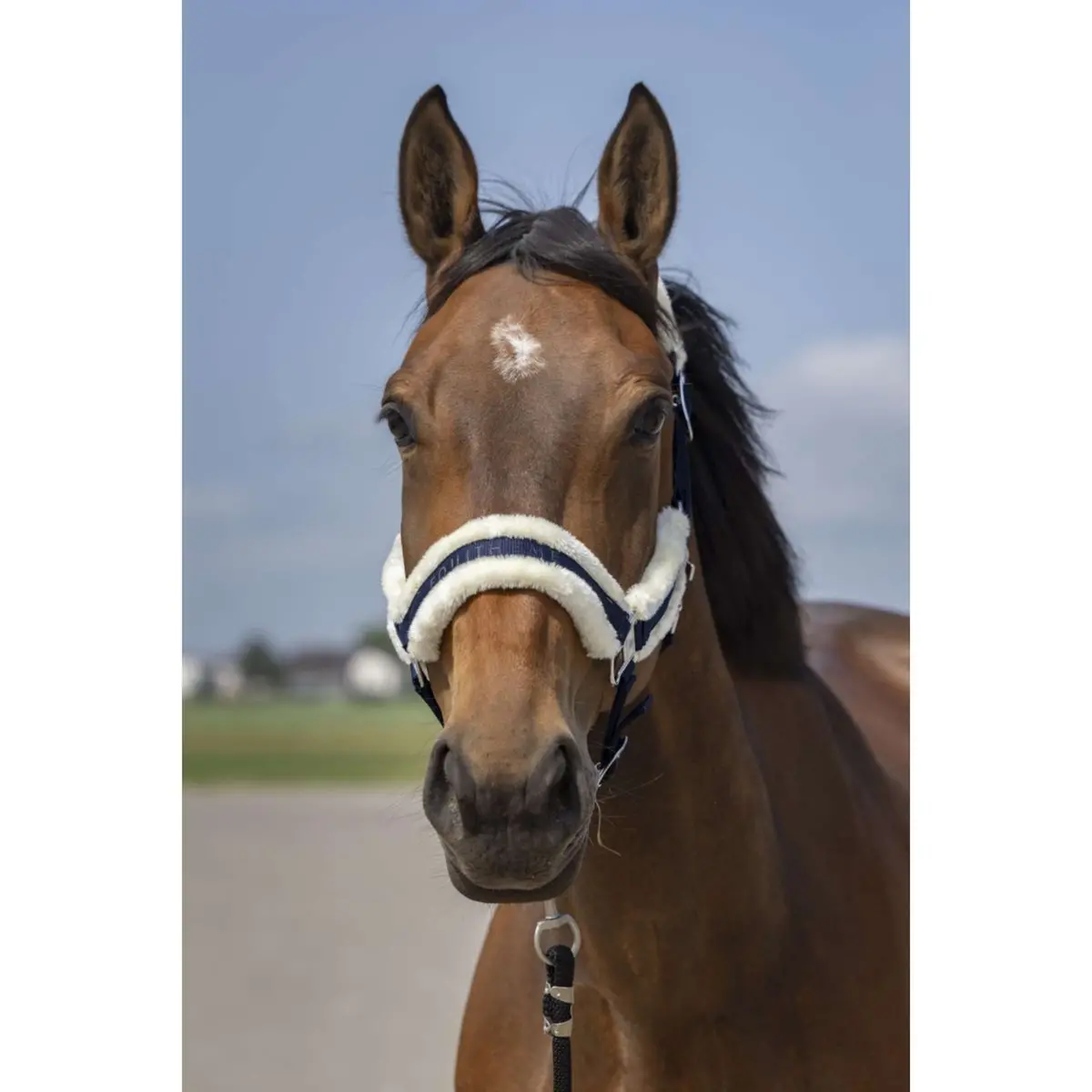 Equithème Halster Mouton Nylon Navy/Wit 1