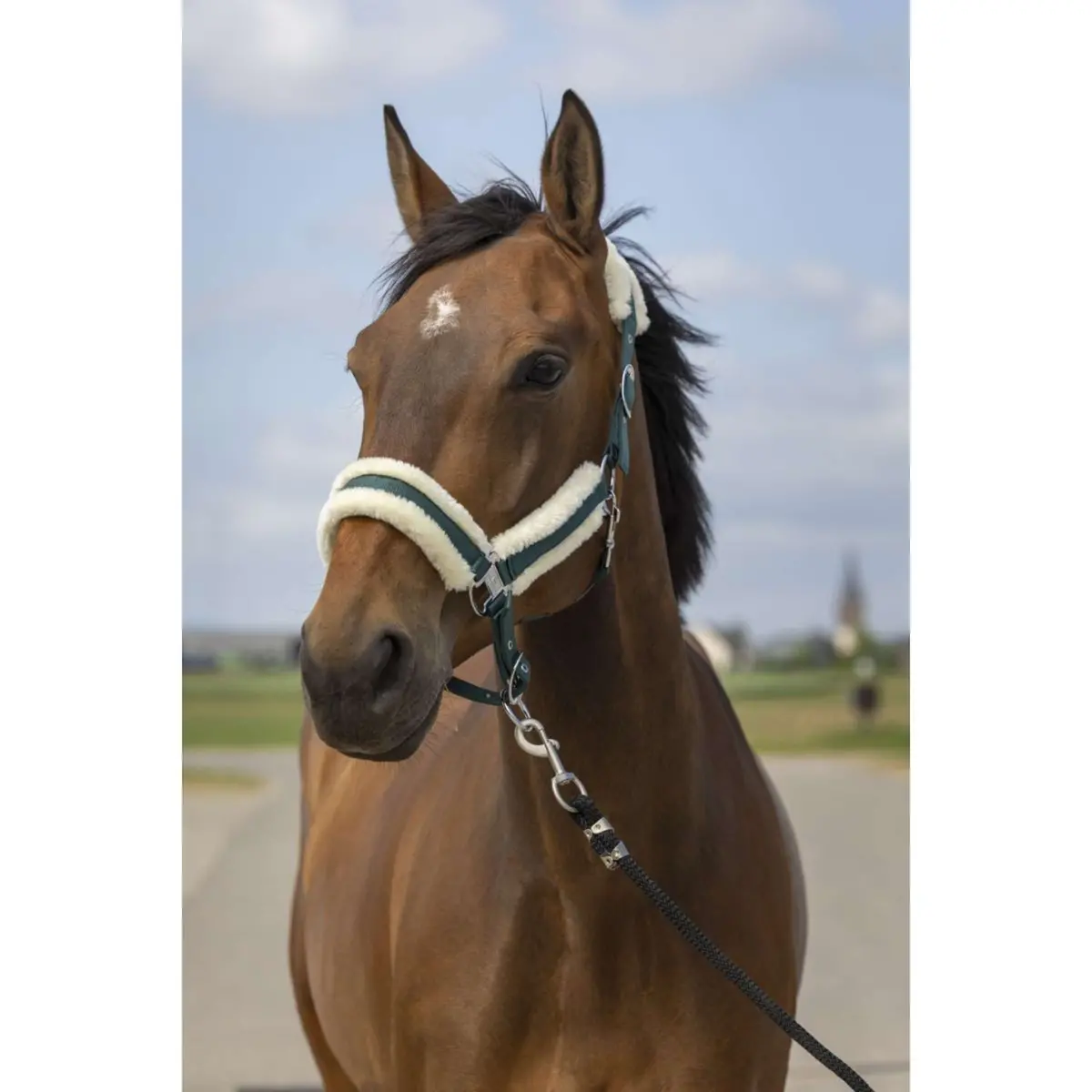 Equithème Halster Mouton Nylon Groen/Wit 1