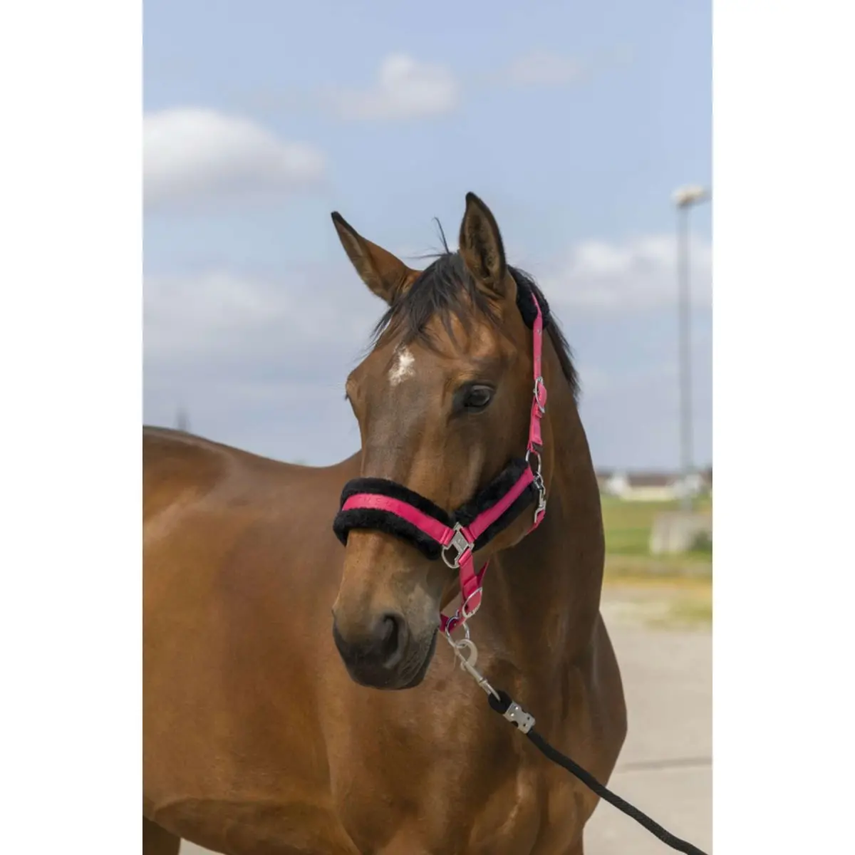 Equithème Halster Mouton Nylon Roze/Zwart 1