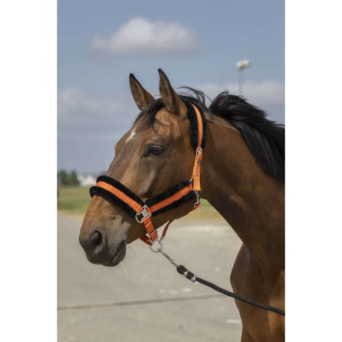 Equithème Halster Mouton Nylon Oranje/Zwart 1